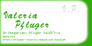 valeria pfluger business card